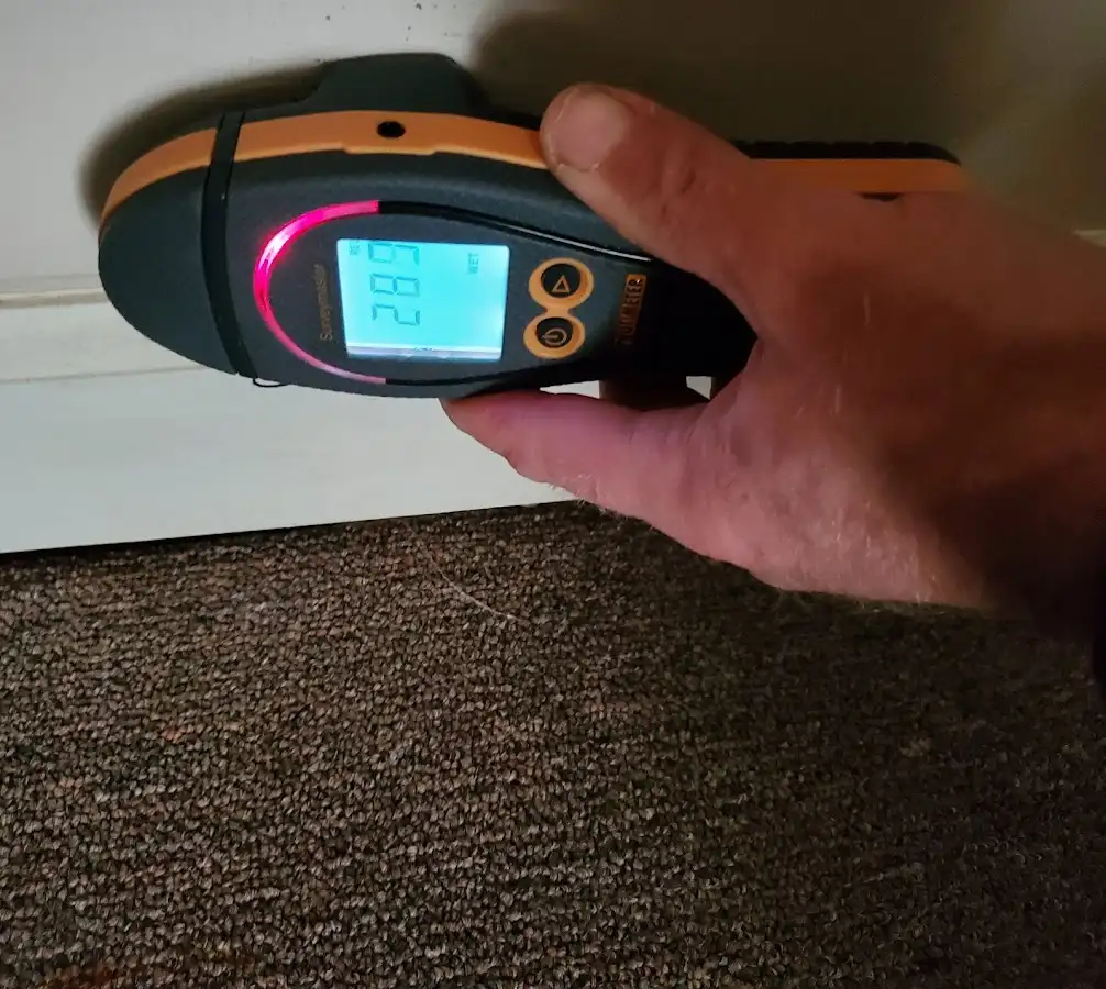 Moisture detection at baseboard during Burst Pipe Cleanup in Avra Valley